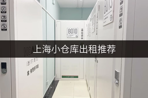 上海小仓库出租推荐，多区可选满足个人企业多样存储需求