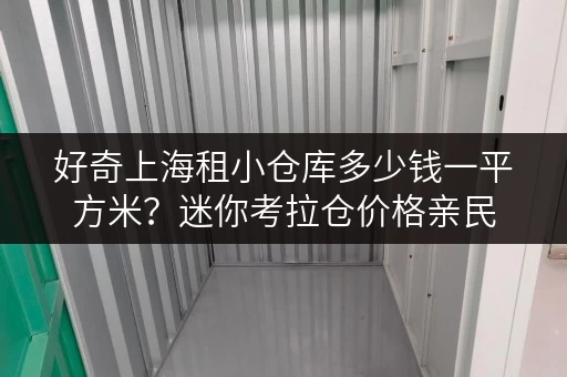 好奇上海租小仓库多少钱一平方米？迷你考拉仓价格亲民