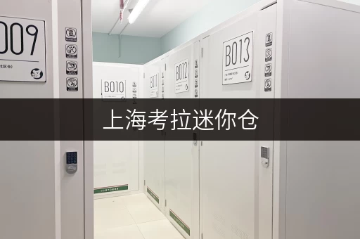 上海考拉迷你仓，专人管理安全无忧，企业文件存储佳选