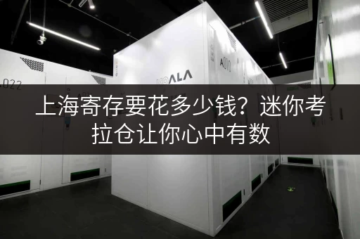 上海寄存要花多少钱?迷你考拉仓让你心中有数 上海寄存要花多少钱?迷你考拉仓让你心中有数