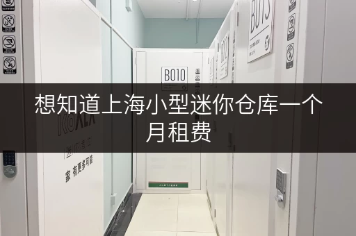 想知道上海小型迷你仓库一个月租费，考拉仓给你答案！