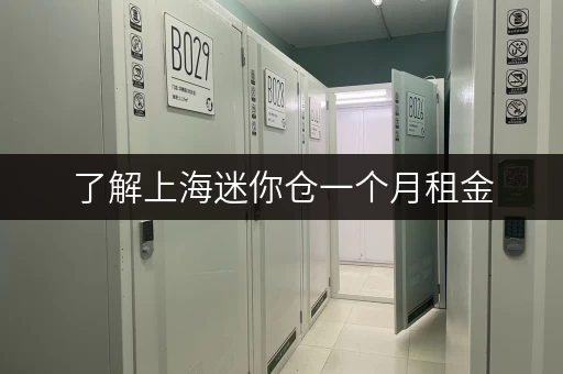 了解上海迷你仓一个月租金,选仓不再迷茫! 了解上海迷你仓一个月租金,选仓不再迷茫!