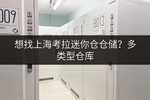 想找上海考拉迷你仓仓储?多类型仓库,一人一仓超方便 想找上海考拉迷你仓仓储?多类型仓库,一人一仓超方便