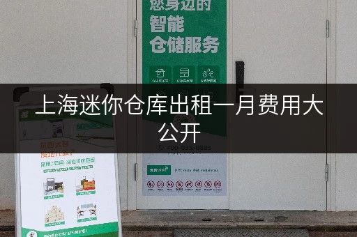 上海迷你仓库出租一月费用大公开，快来一探究竟