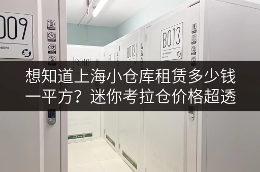 想知道上海小仓库租赁多少钱一平方?迷你考拉仓价格超透明 想知道上海小仓库租赁多少钱一平方?迷你考拉仓价格超透明