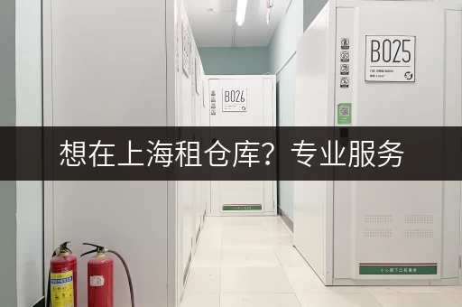 想在上海租仓库？专业服务，安全便捷，满足多样存储需求