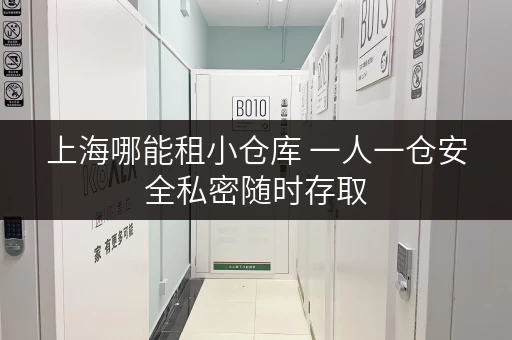 上海哪能租小仓库 一人一仓安全私密随时存取