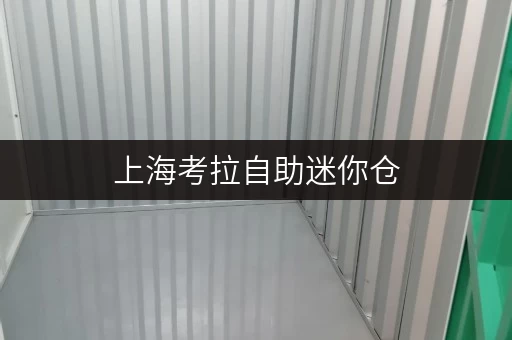 上海考拉自助迷你仓，多种仓型任你选，满足不同存储需求