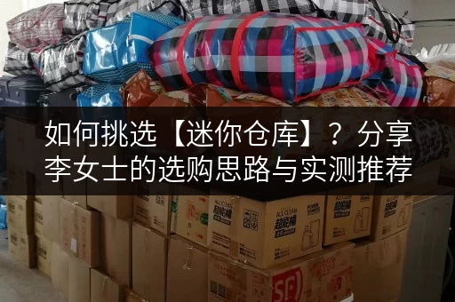 如何挑选【迷你仓库】？分享李女士的选购思路与实测推荐