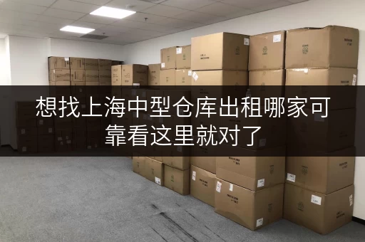 想找上海中型仓库出租哪家可靠看这里就对了