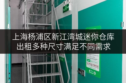 上海杨浦区新江湾城迷你仓库出租多种尺寸满足不同需求