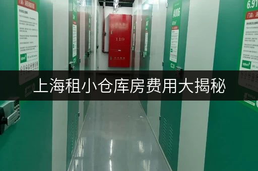 上海租小仓库房费用大揭秘,迷你考拉仓一月租金很亲民 上海租小仓库房费用大揭秘,迷你考拉仓一月租金很亲民