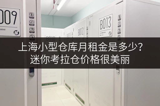 上海小型仓库月租金是多少？迷你考拉仓价格很美丽