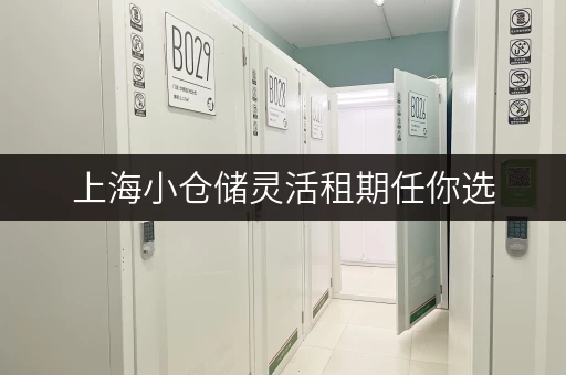 上海小仓储灵活租期任你选，个人企业物品都能存