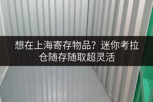 想在上海寄存物品？迷你考拉仓随存随取超灵活