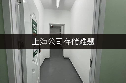 上海公司存储难题，考拉仓正规管理安全又放心