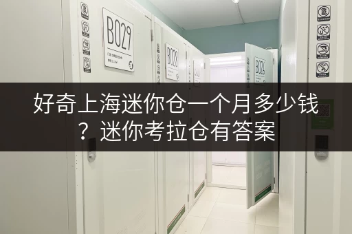 好奇上海迷你仓一个月多少钱？迷你考拉仓有答案