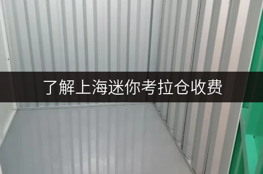 了解上海迷你考拉仓收费，满足个人企业存储需求