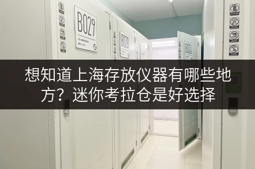 想知道上海存放仪器有哪些地方？迷你考拉仓是好选择