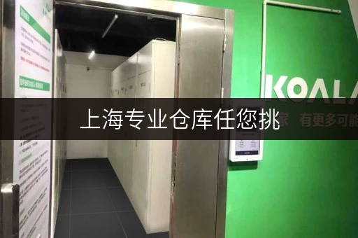 上海专业仓库任您挑，24小时监控，存储物品超安心