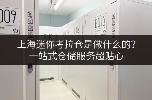 上海迷你考拉仓是做什么的?一站式仓储服务超贴心 上海迷你考拉仓是做什么的?一站式仓储服务超贴心