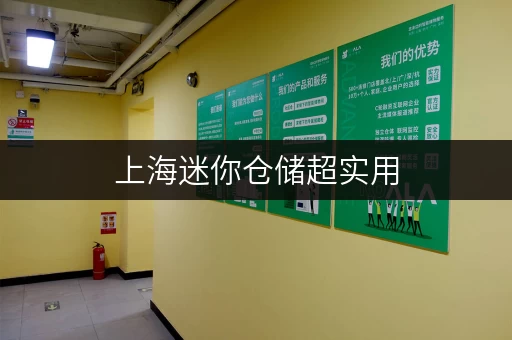 上海迷你仓储超实用，个人企业存储难题轻松搞定