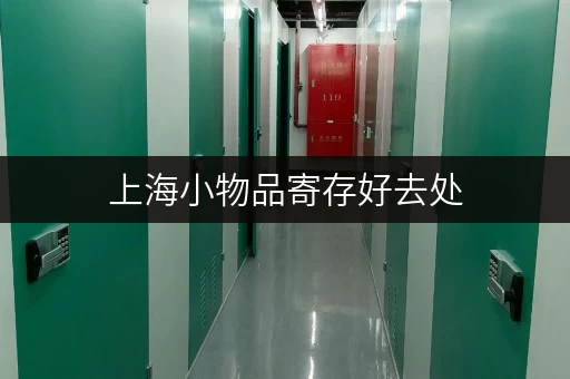 上海小物品寄存好去处，迷你考拉仓多区布局超方便