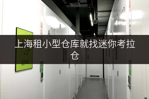 上海租小型仓库就找迷你考拉仓，仓储服务贴心周到