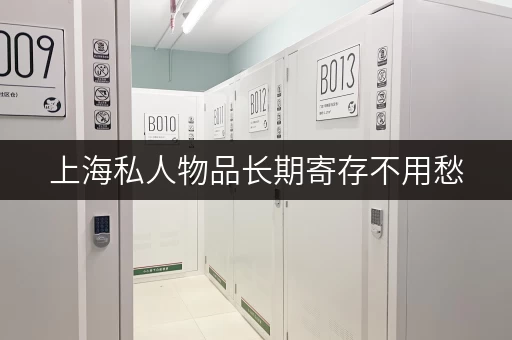 上海私人物品长期寄存不用愁，迷你考拉仓满足多样需求