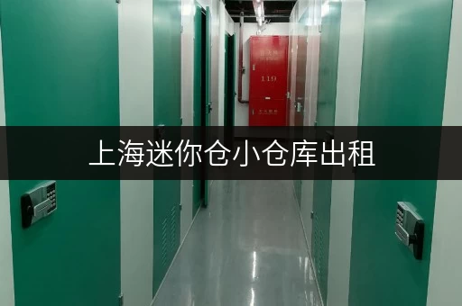 上海迷你仓小仓库出租，快拨电话号码咨询！