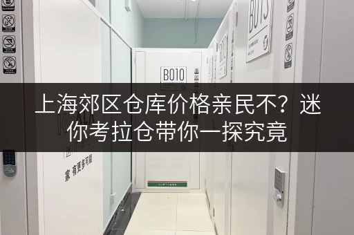 上海郊区仓库价格亲民不？迷你考拉仓带你一探究竟
