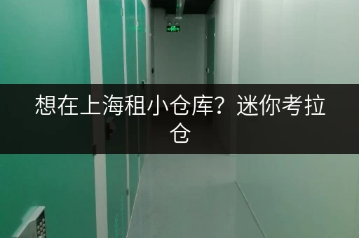 想在上海租小仓库？迷你考拉仓，租期灵活还能上门取送
