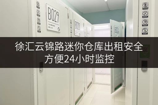 徐汇云锦路迷你仓库出租安全方便24小时监控 徐汇云锦路迷你仓库出租安全方便24小时监控