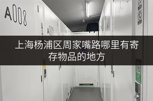 上海杨浦区周家嘴路哪里有寄存物品的地方