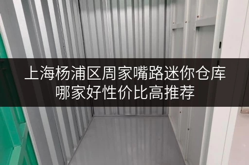 上海杨浦区周家嘴路迷你仓库哪家好性价比高推荐