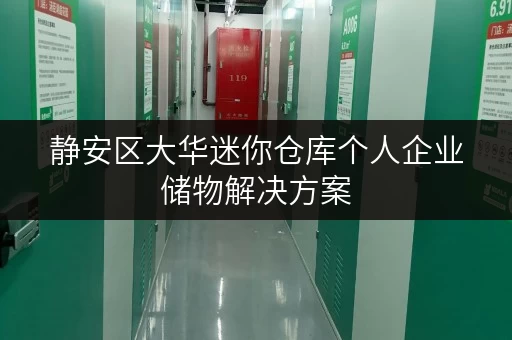 静安区大华迷你仓库个人企业储物解决方案