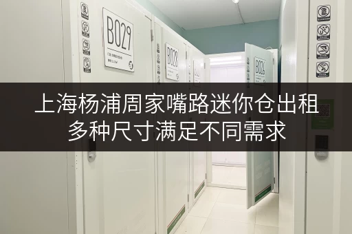 上海杨浦周家嘴路迷你仓出租多种尺寸满足不同需求 上海杨浦周家嘴路迷你仓出租多种尺寸满足不同需求