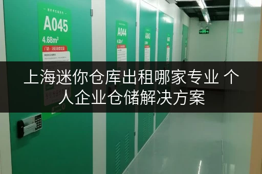 上海迷你仓库出租哪家专业 个人企业仓储解决方案