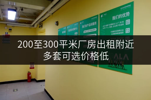 200至300平米厂房出租附近多套可选价格低
