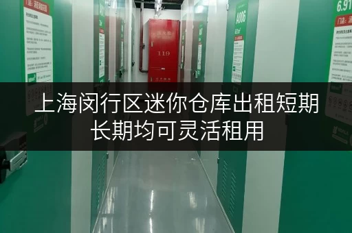 上海闵行区迷你仓库出租短期长期均可灵活租用
