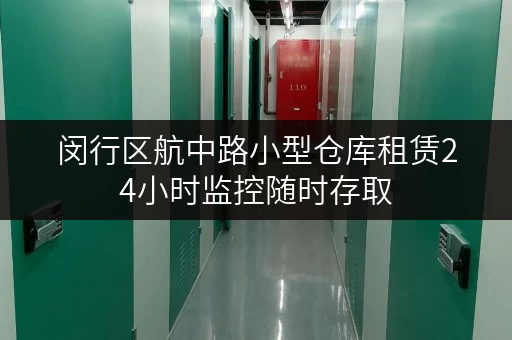闵行区航中路小型仓库租赁24小时监控随时存取 闵行区航中路小型仓库租赁24小时监控随时存取