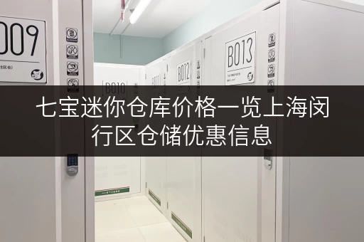 七宝迷你仓库价格一览上海闵行区仓储优惠信息