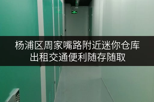 杨浦区周家嘴路附近迷你仓库出租交通便利随存随取