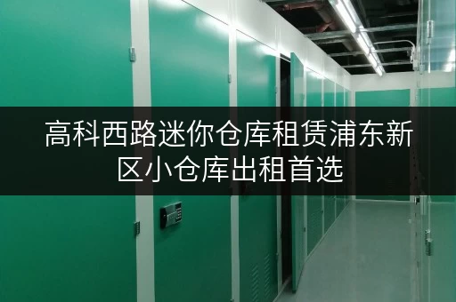 高科西路迷你仓库租赁浦东新区小仓库出租首选 高科西路迷你仓库租赁浦东新区小仓库出租首选