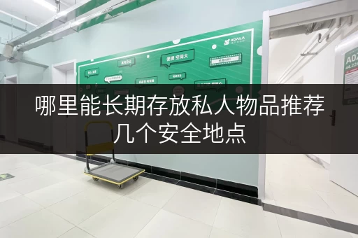 哪里能长期存放私人物品推荐几个安全地点