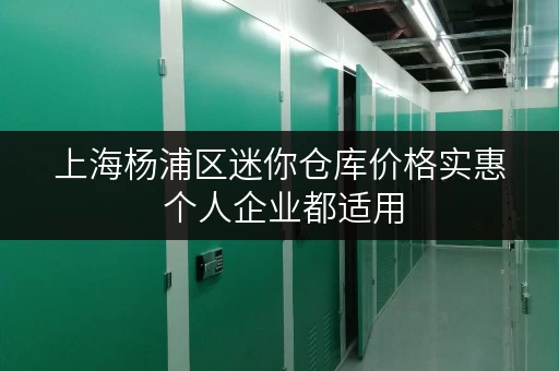 上海杨浦区迷你仓库价格实惠 个人企业都适用 上海杨浦区迷你仓库价格实惠 个人企业都适用