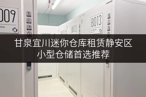 甘泉宜川迷你仓库租赁静安区小型仓储首选推荐