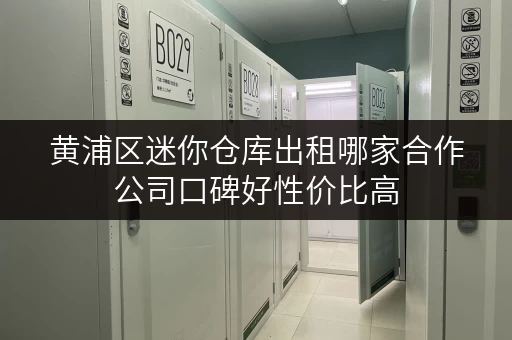 黄浦区迷你仓库出租哪家合作公司口碑好性价比高