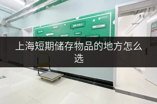 上海短期储存物品的地方怎么选