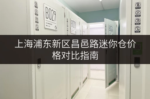 上海浦东新区昌邑路迷你仓价格对比指南